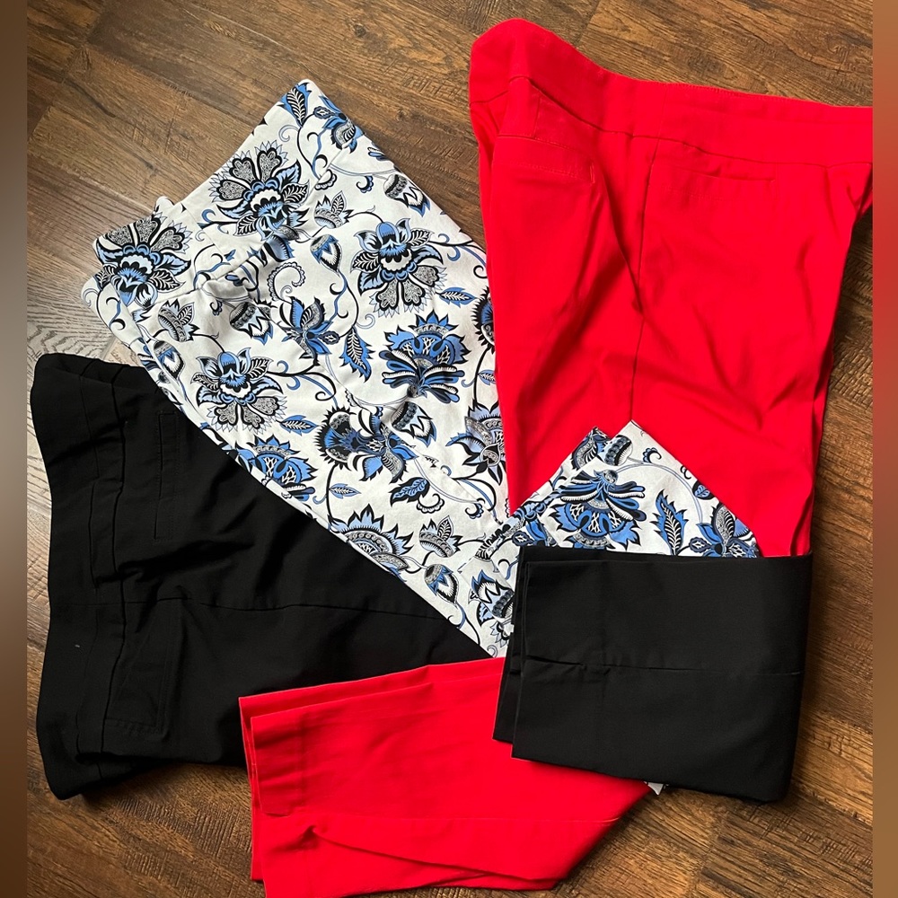 3 Pairs Zac and Rachel Slim ankle pants